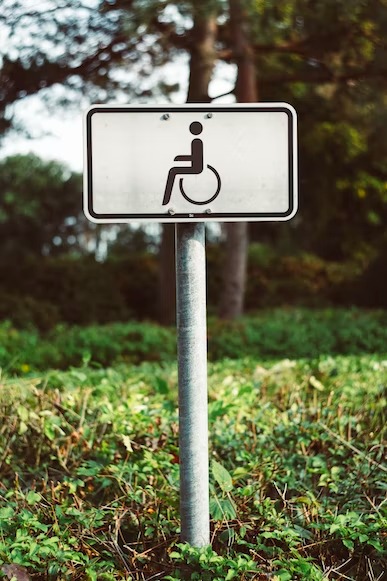 Полегшити умови працевлаштування людей з інвалідністю, - Батьківщина