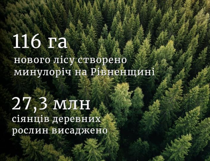 У Рівненській області торік висадили 116 гектарів лісу