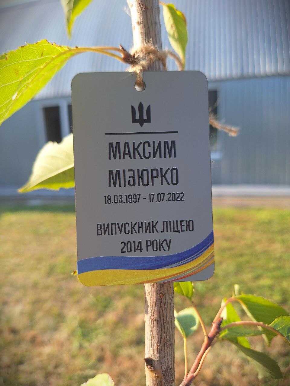 На Рівненщині в обласному військовому ліцеї створили Алею пам'яті загиблим унаслідок війни випускникам