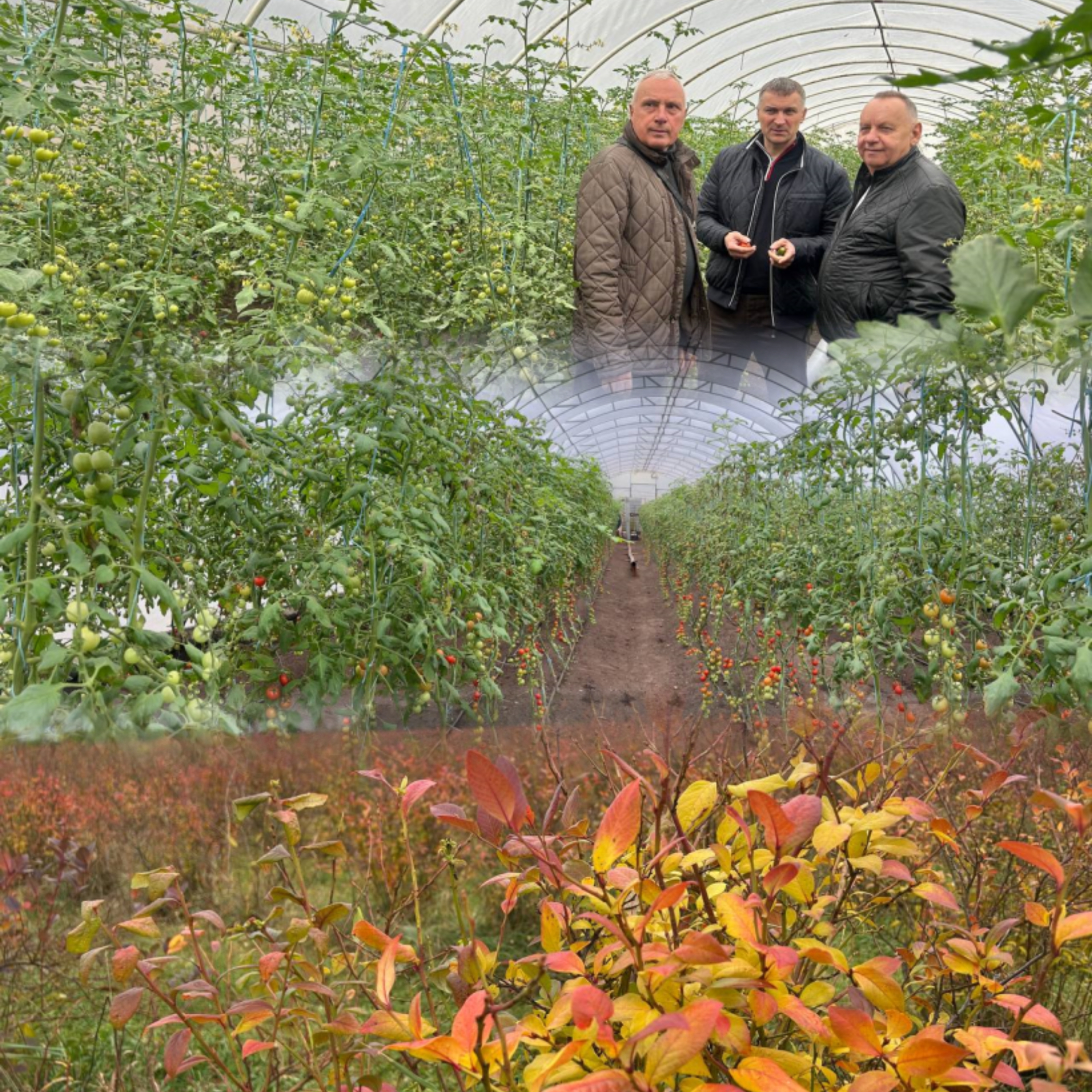 Не здалися і продовжили свою справу в іншому місці: як працює релоковане з Херсонщини на Рівненщину підприємство