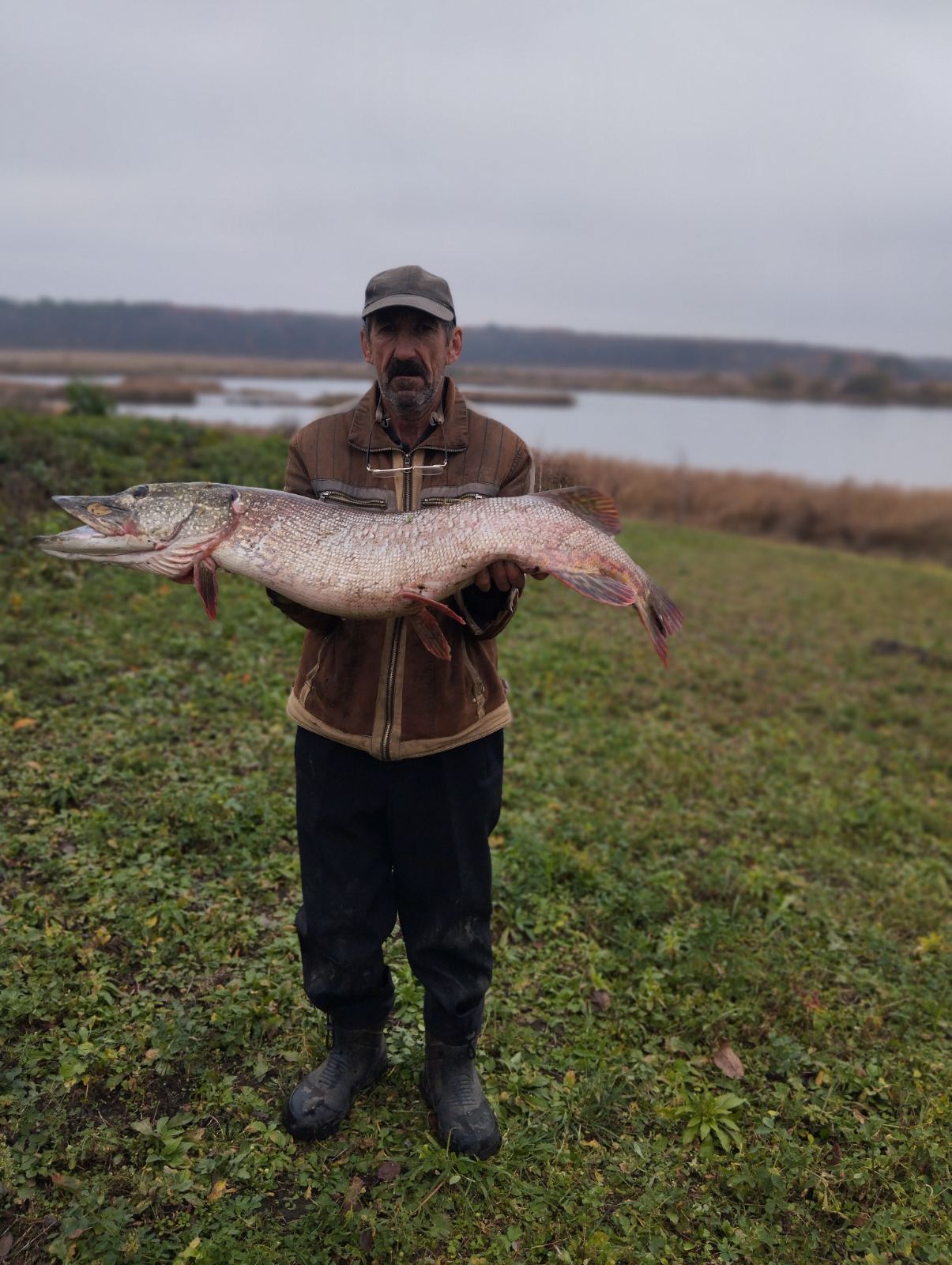 Щуку-гіганта упіймав житель Охматкова у річці Стир біля Красного 