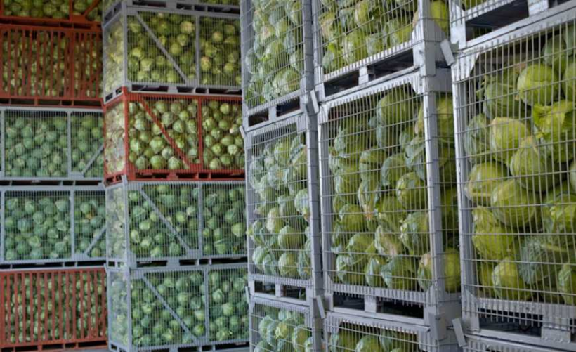 Рівненським аграріям можуть надати грант на будівництво овочесховищ: що для цього потрібно